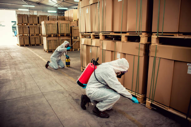 Best Local Pest Control Services  in Grayslake, IL