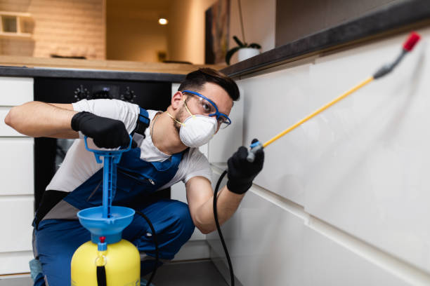Best Local Pest Control Services  in Grayslake, IL