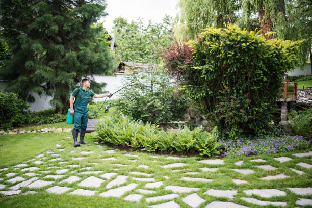 Best Mosquito Control Services  in Grayslake, IL