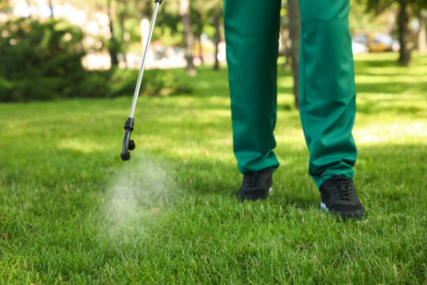 Best Pest Removal Services  in Grayslake, IL