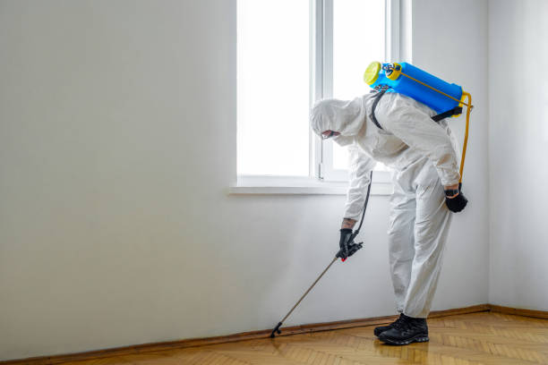 Best Best Pest Control Companies  in Grayslake, IL