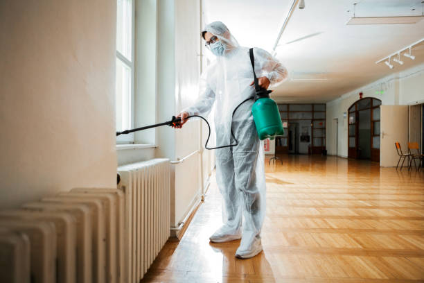 Best Affordable Pest Control Services  in Grayslake, IL