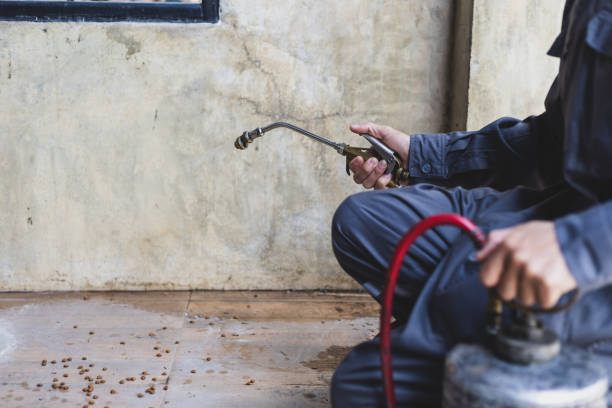 Best Local Pest Control Services  in Grayslake, IL